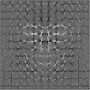 Face Detection with a Sliding Window
